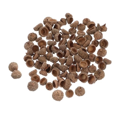 ROMISBABA 100 Stück Natürliche Eichelhülsen Set Robuste Herbst und Weihnachtsdeko aus Echten Acorn Shell Umweltfreundlich für Partydeko DIY Basteln Hochzeit Herbstliche Tischdeko und ROMISBABA 100 Stück Natürliche Eichelhülsen Set Robuste Herbst und Weihnachtsdeko aus Echten Acorn Shell Umweltfreundlich für Partydeko DIY Basteln Hochzeit Herbstliche Tischdeko und von ROMISBABA