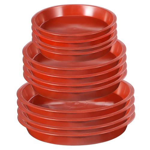 ROMISBABA 12 Stück Pflanzuntersetzer aus Robustem Kunststoff in Wetterfeste Pflanztopf Unterteller für Indoor und Outdoor Vielseitige Wasserauffangschalen für Blumentöpfe und Pflanzgefäße ROMISBABA 12 Stück Pflanzuntersetzer aus Robustem Kunststoff in Wetterfeste Pflanztopf Unterteller für Indoor und Outdoor Vielseitige Wasserauffangschalen für Blumentöpfe und Pflanzgefäße von ROMISBABA