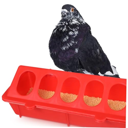ROMISBABA 2 STÜCK Teiliges Tauben Futtertrog aus Robustem Kunststoff Langlebige Vogelfutterschale mit Glatter Oberfläche Installieren Reinigen Geeignet für Kleine Vögel Wie Tauben ROMISBABA 2 STÜCK Teiliges Tauben Futtertrog aus Robustem Kunststoff Langlebige Vogelfutterschale mit Glatter Oberfläche Installieren Reinigen Geeignet für Kleine Vögel Wie Tauben von ROMISBABA