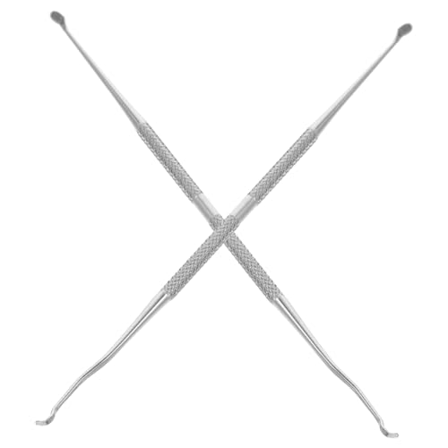 ROMISBABA 2 Stück Doppelseitige Imker Umsetz Nadeln Vielseitige Bienenzucht Werkzeuge zum Larven und Wabentransfer Leicht Robust Einfach zu Reinigen für Imkerbedarf von ROMISBABA