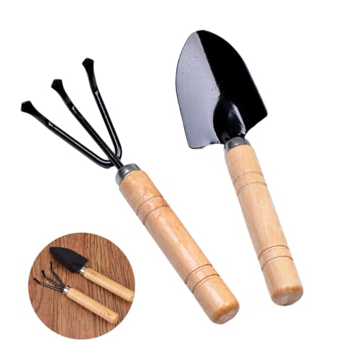 ROMISBABA 2 Stück Gartenwerkzeug Set Teilig Mini und Rechen für Bonsai Transplantation Ergonomisches Design für Feengärten Robust und Tragbar für Mikropflanzenpflege ROMISBABA 2 Stück Gartenwerkzeug Set Teilig Mini und Rechen für Bonsai Transplantation Ergonomisches Design für Feengärten Robust und Tragbar für Mikropflanzenpflege von ROMISBABA