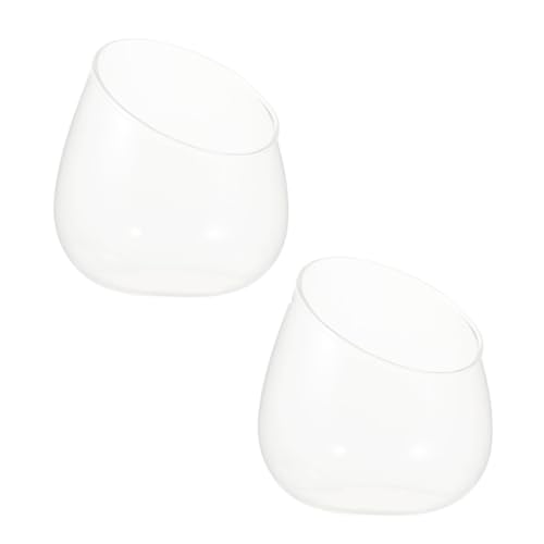 ROMISBABA 2 Stück Glas Terrarium Klare Sukkulenten Pflanzgefäße Schräger Rand Deko für Sims Balkon Innen Außen Abnehmbare Vasen für Blumen Kakteen Luftpflanzen Langlebig und Elegant von ROMISBABA