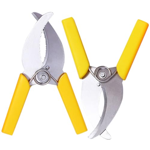 ROMISBABA 2 Stück Teiliges Edelstahl Ringrindenschneider Langlebige Gartenschere mit Ergonomischem Griff Scharf und Rostfrei für Obstbaumpflege Bonsai und Pflanzenrückschnitt ROMISBABA 2 Stück Teiliges Edelstahl Ringrindenschneider Langlebige Gartenschere mit Ergonomischem Griff Scharf und Rostfrei für Obstbaumpflege Bonsai und Pflanzenrückschnitt von ROMISBABA