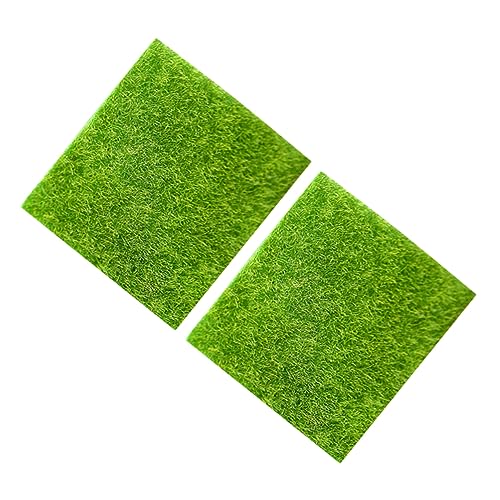 ROMISBABA 2Stücke Micro Landschaft Moos Simulation Dekoration für Garten und Miniaturprojekte Langlebig und Wetterbeständig für DIY Ornamente von ROMISBABA