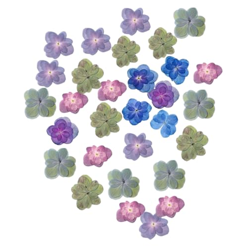 ROMISBABA 30 Stück Teiliges Gepresste Trockenblumen für DIY Scrapbooking Schmuckherstellung und Dekoration Natürliche Getrocknete Hortensienblüten in Bunten Farben für Harzkunst und ROMISBABA 30 Stück Teiliges Gepresste Trockenblumen für DIY Scrapbooking Schmuckherstellung und Dekoration Natürliche Getrocknete Hortensienblüten in Bunten Farben für Harzkunst und von ROMISBABA