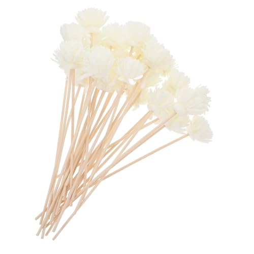 ROMISBABA 30 Stück Teiliges Künstliche Rattanblumen Duftstäbchen für Aromaöl Diffuser mit Natürlichem Duft Hohe Wasseraufnahme Stabile Duftabgabe für Raumluftreinigung und Aromatherapie ROMISBABA 30 Stück Teiliges Künstliche Rattanblumen Duftstäbchen für Aromaöl Diffuser mit Natürlichem Duft Hohe Wasseraufnahme Stabile Duftabgabe für Raumluftreinigung und Aromatherapie von ROMISBABA