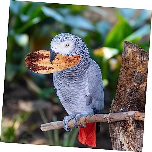 ROMISBABA 4 Stück Teiliges Natürliches Kauspielzeug für Papageien Budgies und Wellensittiche Einzigartiges Vogelfutter aus Gesundem Material Fördert Beschäftigung und Zahnpflege Kleiner ROMISBABA 4 Stück Teiliges Natürliches Kauspielzeug für Papageien Budgies und Wellensittiche Einzigartiges Vogelfutter aus Gesundem Material Fördert Beschäftigung und Zahnpflege Kleiner von ROMISBABA