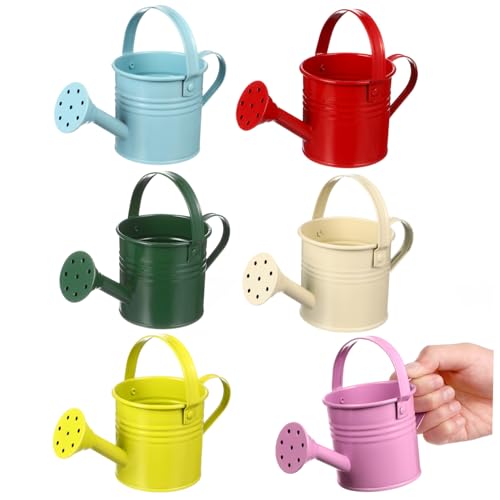 ROMISBABA 6 Stück Teiliges Bunte Eisen Gießkannen für Gartenarbeit Wasserspielzeug Stabile Basis Großer Wasserbehälter Langstielige Ausgießer für Blumen Zimmerpflanzen Outdoor ROMISBABA 6 Stück Teiliges Bunte Eisen Gießkannen für Gartenarbeit Wasserspielzeug Stabile Basis Großer Wasserbehälter Langstielige Ausgießer für Blumen Zimmerpflanzen Outdoor von ROMISBABA