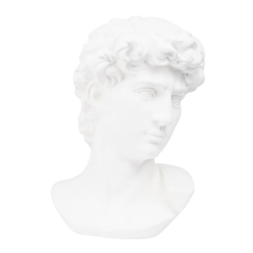 ROMISBABA David Büste Skulptur Resin Lehrmittel Klassische Statue Dekoration für Kunstunterricht und Wohnraumgestaltung ROMISBABA David Büste Skulptur Resin Lehrmittel Klassische Statue Dekoration für Kunstunterricht und Wohnraumgestaltung von ROMISBABA