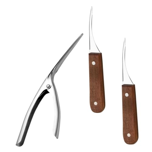 ROMISBABA Edelstahl Garnelen Schälmesser Teiliges mit Ergonomischem Griff Versch Farben Gebogenes Design für Müheloses Entfernen der Garnelenschale Kompakt und Praktisch für Küche ROMISBABA Edelstahl Garnelen Schälmesser Teiliges mit Ergonomischem Griff Versch Farben Gebogenes Design für Müheloses Entfernen der Garnelenschale Kompakt und Praktisch für Küche von ROMISBABA