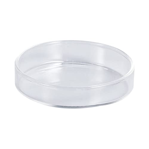 ROMISBABA Futterbecken für Garnelen Fish Tank Feeding Bowl Futternapf Garnelenfutter runde Gerichte Garnelenfutterschale aus Glas von ROMISBABA