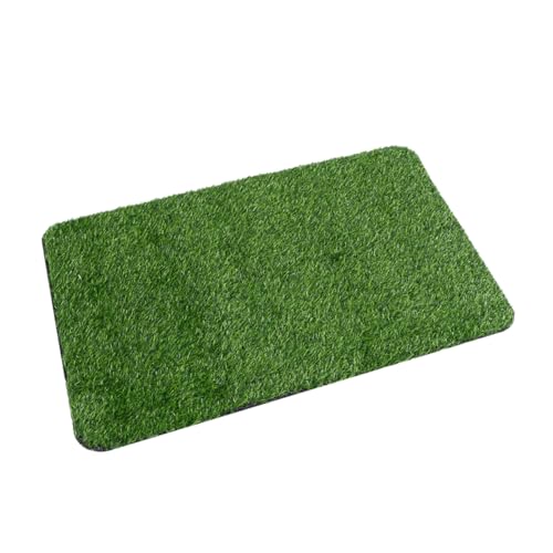 ROMISBABA Grüner Kunstrasen Teppich rutschfeste Bodenmatte Innen Außen als Türmatte Badezimmermatte mit Natürlichem Gras Design für Wohnzimmer und Eingangsbereich von ROMISBABA
