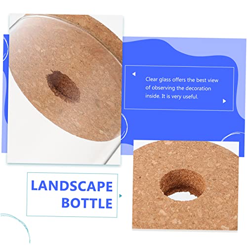ROMISBABA Hochborosilikatglas Terrarium Flasche DIY Landschaft Behälter für Sukkulenten Moos Pflanze Dekoration Büro von ROMISBABA