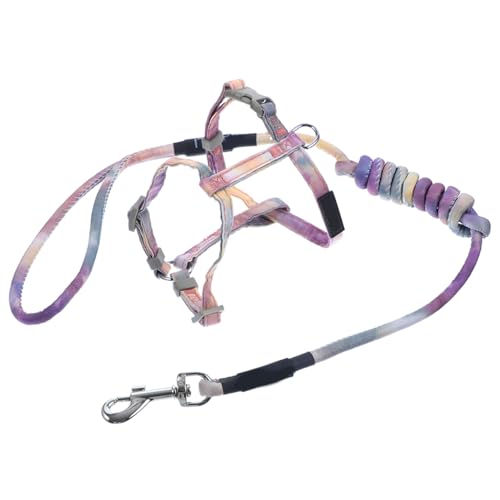ROMISBABA Dog Outdoor Leine Mit Verstellbarem Geschirr Für Kleine Hunde Atmungsaktives Sicheres Hundegeschirr Mit Langer Leine Für Training Und Reflektoren Für Bessere Sichtbarkeit von ROMISBABA