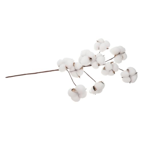 ROMISBABA Köpfe Künstliche Baumwollstiele Getrocknete Baumwollzweige Flexible Stängel Natürlicher Look Dekorativer Blumenfüllstoff Bauernhausstil für Vase Hochzeits und Wohnaccessoires ROMISBABA Köpfe Künstliche Baumwollstiele Getrocknete Baumwollzweige Flexible Stängel Natürlicher Look Dekorativer Blumenfüllstoff Bauernhausstil für Vase Hochzeits und Wohnaccessoires von ROMISBABA