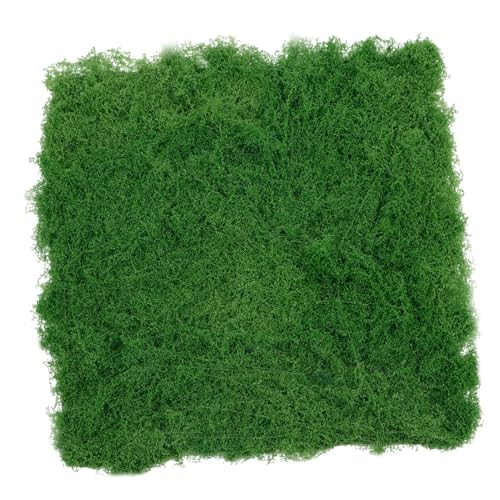 ROMISBABA Künstliche Moosmatte für Garten und Innenraumdekoration Lebensechte Moosmatte für Bonsai Terrarium ROMISBABA Künstliche Moosmatte für Garten und Innenraumdekoration Lebensechte Moosmatte für Bonsai Terrarium von ROMISBABA