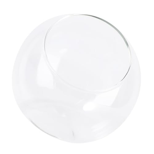 ROMISBABA Micro Landscape Glasflasche Ø Terrarium Behälter aus Hochwertigem Glas DIY Pflanzgefäß für Tischdekoration Wohnzimmer Büro und Garten Langlebig und Handlich ROMISBABA Micro Landscape Glasflasche Ø Terrarium Behälter aus Hochwertigem Glas DIY Pflanzgefäß für Tischdekoration Wohnzimmer Büro und Garten Langlebig und Handlich von ROMISBABA