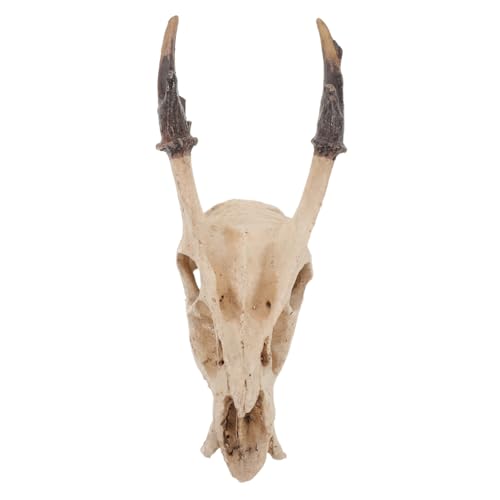 ROMISBABA Reptilien Versteck aus Robustem Resin Authentische Schädel Deko für Schildkröten und Schlangen Vielseitiges Versteck im Terrarium und Aquarium Pflegeleicht Stabil und Naturgetreu von ROMISBABA