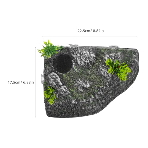 ROMISBABA Schildkrötenplattform aus Langlebigem Material mit Kletterrampe Natürlichem Sicher für Wasserschildkröten und Reptilien als Aquarium Terrarien Dekoration Fördert Bewegung und ROMISBABA Schildkrötenplattform aus Langlebigem Material mit Kletterrampe Natürlichem Sicher für Wasserschildkröten und Reptilien als Aquarium Terrarien Dekoration Fördert Bewegung und von ROMISBABA