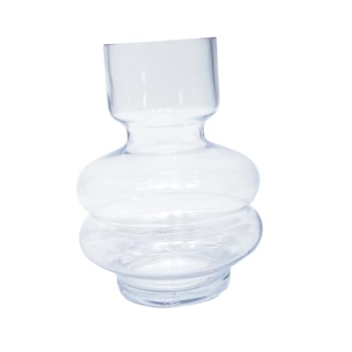 ROMISBABA Transparente Glasvase für Hydroponische Blumen Nordic Stil Glasblumenvase Dekorative Blumenvase für Wohnzimmer und Garten Modernes Flower Container Design aus Premiumglas ROMISBABA Transparente Glasvase für Hydroponische Blumen Nordic Stil Glasblumenvase Dekorative Blumenvase für Wohnzimmer und Garten Modernes Flower Container Design aus Premiumglas von ROMISBABA