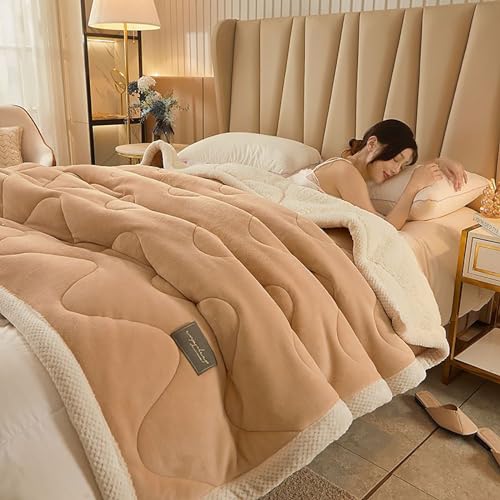 Milk Velvet+Lambswool,Decke Super Thick,Fuzzy Plush Flannel Blanket for Couch, Sofa and Bed,Microfiber Lightweight Reversible Soft Cozy Warm Luxury Bed Throw Blanket G,150 * 200cm-1.6kg von ROMOZ