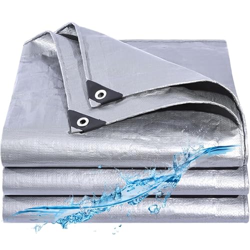 ROMOZ Plane mit Eyelets PVC Truck, Plane Stoff verstärkte Eyelets Thick PE Tarpaulin Waterproof Cover Tarpaulin for Camping Outdoor Garden Tarpaulin Silver,6x8m von ROMOZ
