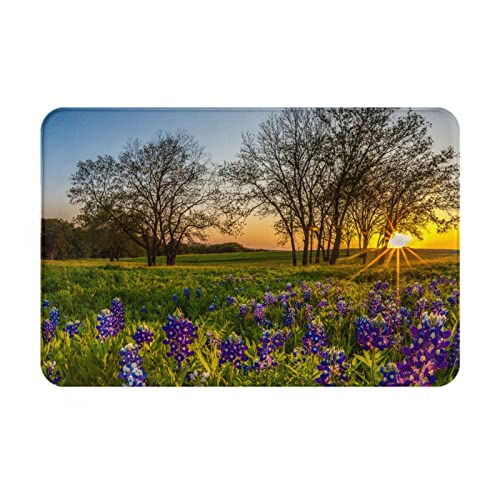 ROOZEE Fußmatte aus Flanell, Motiv: Lavendelwiese bei Sonnenuntergang, rutschfest, 60 x 40 cm, leicht zu reinigen und zu pflegen, langlebig, dick und bequem von ROOZEE