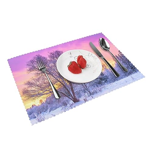 Winterlandschaft bedruckte hitzebeständige Tischsets 4er Set Esszimmer Geschenke rutschfeste Tischsets 45 x 30 cm Tischdekoration von ROOZEE