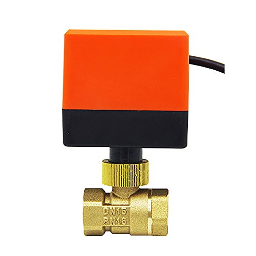 AC220V AC24V DC12V 2 Wege Motorventil Motorkugelventil DN15 DN20 DN25 DN32 DN40 DN50. (AC24V 1/2 zoll) AC220V AC24V DC12V 2 Wege Motorventil Motorkugelventil DN15 DN20 DN25 DN32 DN40 DN50. (AC24V 1/2 zoll) von ROOwarMer