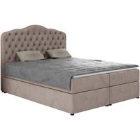 ROPEZ | Boxspringbett Malaga Samt 140 x 200 cm von ROPEZ