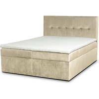 ROPEZ | Boxspringbett Nice Samt 160 x 200 cm von ROPEZ