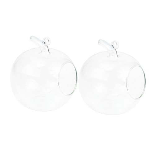 RORPOIR 2st Hydroponische Vase Kiefernkarte Katze Essgeschirr Basketball-Container Golf Eimer Behälter Für Ballkörbe Fruchtbasis Kleidung Fassbehälter Glas Transparent von RORPOIR