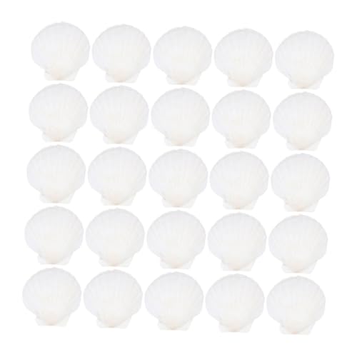 RORPOIR 35 Stück Teiliges Set Weiße Jakobsmuscheln Natürliche Deko für DIY Bastelprojekte Strand und Küstendekoration Aquariumgestaltung Vielseitige Meeresthemen Accessoires von RORPOIR