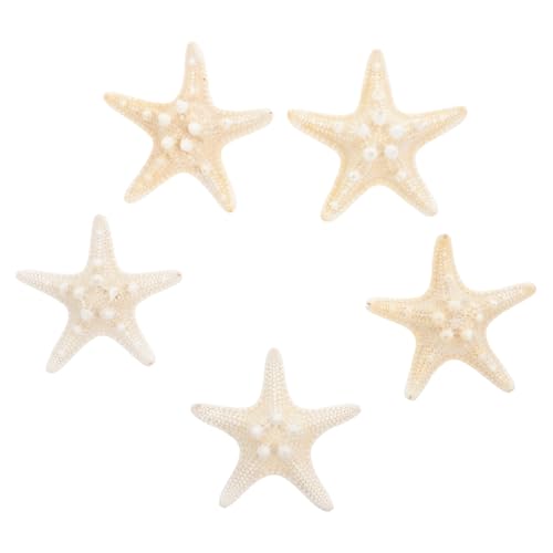 RORPOIR 5stücke Natürliche Seestern-Dekorationen Ornamente Für Hochzeiten Partys Und DIY-projekte Zufällige Designs Tisch Wohnaccessoire RORPOIR 5stücke Natürliche Seestern-Dekorationen Ornamente Für Hochzeiten Partys Und DIY-projekte Zufällige Designs Tisch Wohnaccessoire von RORPOIR