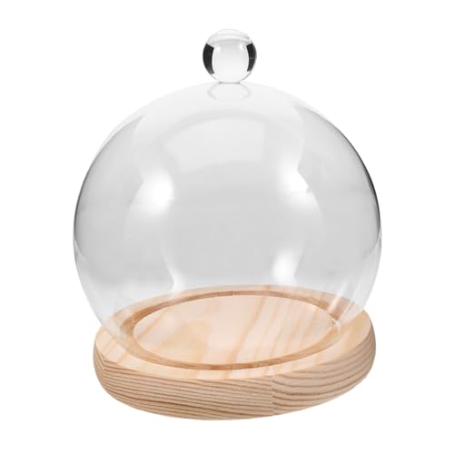RORPOIR Glaskuppel mit Holzboden Runde Transparente Glasglocke Terrarium Display für Konservierte Blumen Dekorative Tischvitrine mit Langlebigem Holzsockel Eleganter Schutz und von RORPOIR
