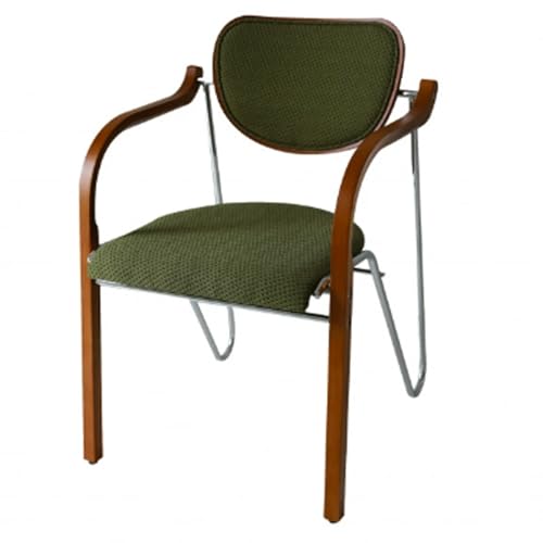 ROSEEONNE Esszimmerstuhl aus massivem Holz, Rückenlehnenstuhl for Zuhause, Eisenrahmen, Küchenstuhl, Retro-Stil, Schwammkissenstuhl, stapelbarer Kaffeestuhl(Groen) von ROSEEONNE