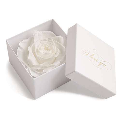 1 Infinity Rose konserviert Rosenbox weiß I LOVE YOU Geschenk für Frauen (1 Rose, Weiß-Weiß) von ROSEMARIE SCHULZ Heidelberg