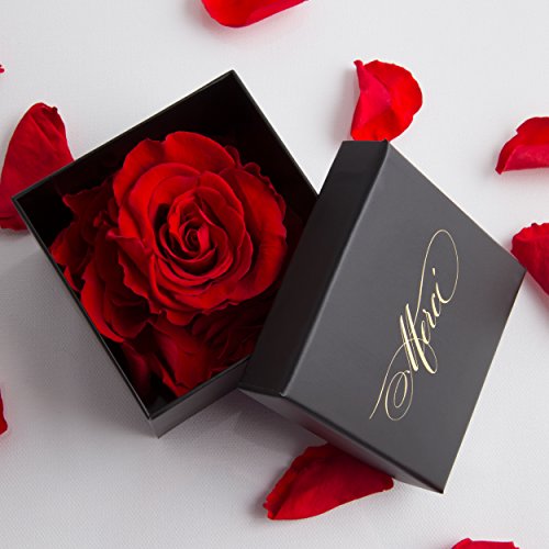 4 kleine konservierte Rosen die lange halten zum Danke sagen als feine Blumenbox mit Goldschrift MERCI Danke Geschenk - Größe 6 x 6 x 2 cm (1 Rose, Rot) von ROSEMARIE SCHULZ Heidelberg