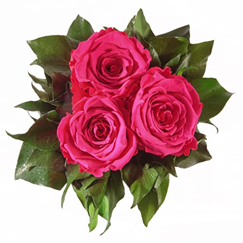 Blumenstrauss konserviert mit 3 Rosen - Rosemarie Schulz (Pink) von ROSEMARIE SCHULZ Heidelberg