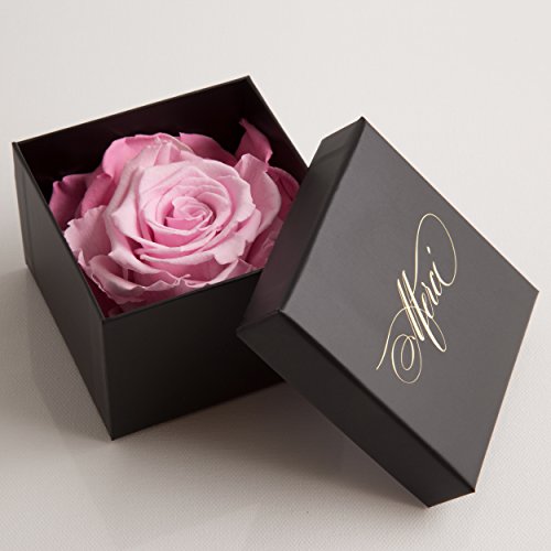 Ewige Rose 3 Jahre haltbar Dankeschön Geschenk Merci von ROSEMARIE SCHULZ Heidelberg (1 Rose, Rosa) von ROSEMARIE SCHULZ Heidelberg