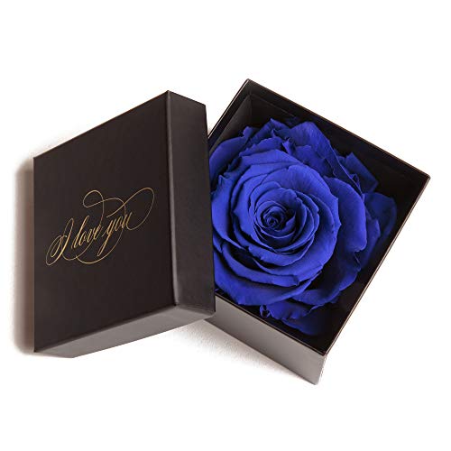 Exklusive Geschenkidee für die ewige Liebe mit 1 konservierten Rose haltbar 3 Jahre und Goldschrift I LOVE YOU/Rosenbox/Blumenversand ewig blühende Rose (1 Rose, Schwarz-Blau) von ROSEMARIE SCHULZ Heidelberg