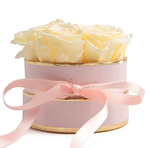 ROSEMARIE SCHULZ Heidelberg Beste Mama Blumenbox rund Infinity Rosen - Rosenbox in Rosa 4 ewige Rosen weiß Ø ca. 10cm haltbar 3 Jahre - Geschenke für Mama (Rosa-Beige) von ROSEMARIE SCHULZ Heidelberg