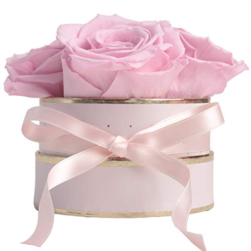 ROSEMARIE SCHULZ Heidelberg Rosenbox rund Infinity Rosen - Flowerbox 4 konservierte Rosen haltbar 3 Jahre - Geschenke für Frauen und für Mutter (Rosa-Rosa) von ROSEMARIE SCHULZ Heidelberg