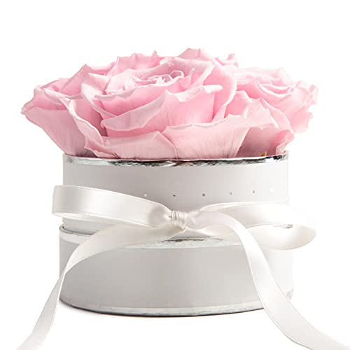 ROSEMARIE SCHULZ Heidelberg Rosenbox rund Infinity Rosen Rosa - Blumenbox in Weiß 4 konservierte Rosen haltbar 3 Jahre - Geschenke für Frauen und Geschenke für Mama (Small, Weiß-Rosa) von ROSEMARIE SCHULZ Heidelberg