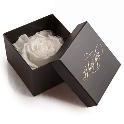 Geschenk Liebe - Infinity Rose weiß lange haltbar 3 Jahre - Goldschrift I LOVE YOU - langhaltende Rose Geschenk für Frauen (1 Rose, Schwarz-Weiß) von ROSEMARIE SCHULZ Heidelberg
