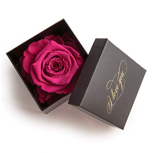 Heiratsantrag 1 ewige Rose Pink konserviert Rosenbox Schwarz I LOVE YOU Geschenke für Frauen Liebesbeweis Geschenk für Freundin Liebesbotschaft Verlobung (1 Rose, Schwarz-Pink) von ROSEMARIE SCHULZ Heidelberg