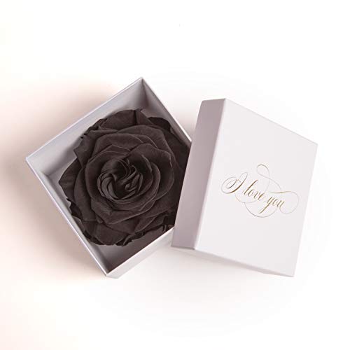 I LOVE YOU Flowerbox infinity Rose in Schwarz konserviert weiße Rosenbox Geschenk der Liebe für sie für die Frau (1 Rose, Weiß-Schwarz) von ROSEMARIE SCHULZ Heidelberg