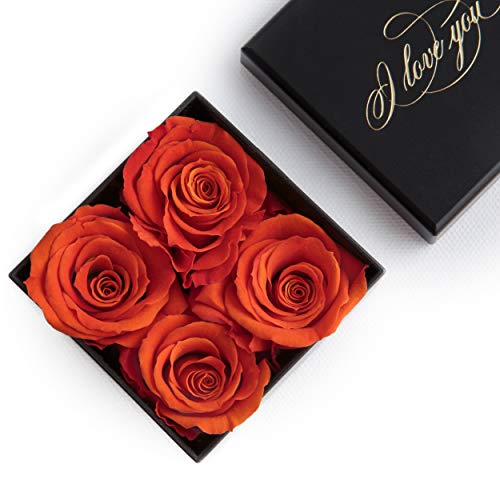 I LOVE YOU mit 4 kleinen infinity Röschen 3 Jahre haltbar Blumengesteck/Geschenk Freundin/Hochzeitstag/Partner/Geschenk Hochzeit / 6 x 6 x 2 cm (4 Röschen, Orange) von ROSEMARIE SCHULZ Heidelberg