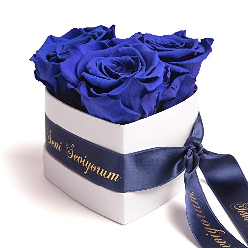 ROSEMARIE SCHULZ Heidelberg Infinity Rosenbox Herz - 3 echte Blaue Rosen konserviert haltbar 3 Jahre 10x12cm - Seni Seviyorum hediye besondere Geschenke für Frauen Liebesbeweis (Seni Seviyorum, Blau) von ROSEMARIE SCHULZ Heidelberg