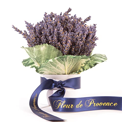 Infinity Dry Blumenbox Flowerbox Lavendel getrocknet aus der Provence Trockenblumen von ROSEMARIE SCHULZ Heidelberg